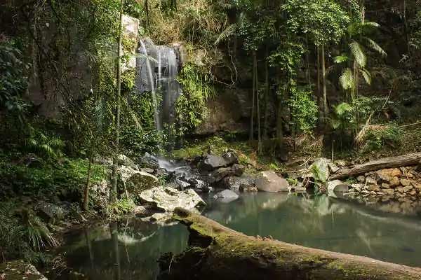 Curtis Falls Walk