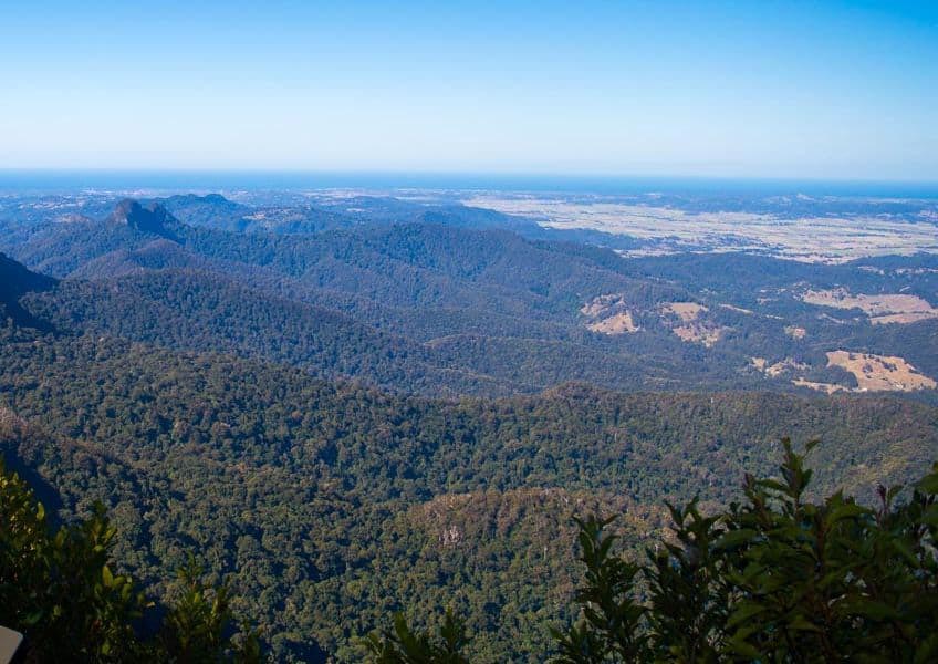 Canungra Goat Track
